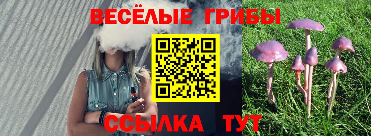 закладка  Вход с VPN  Галлюциногенные грибы Magic Shrooms  Обь  Псилоцибиновые грибы Cubensis 