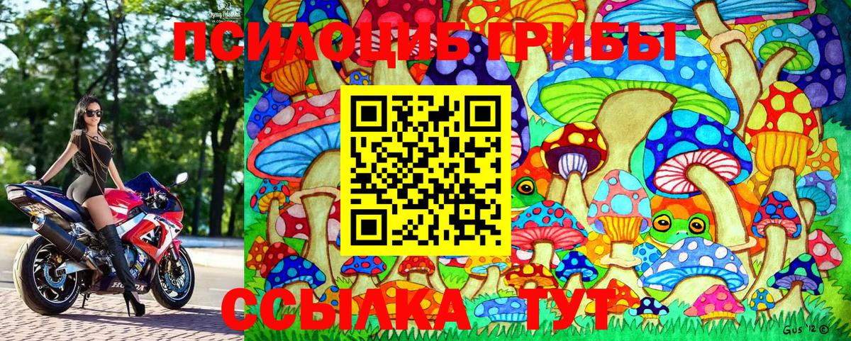 Псилоцибиновые грибы GOLDEN TEACHER Обь